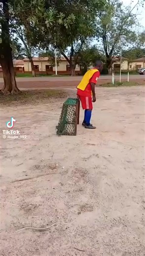 42K views · 484 reactions | Claque Magazine on Reels | Facebook