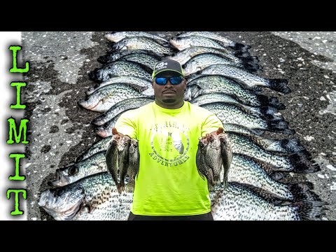 First time ** LIMIT ** of Crappie (Pre Spawn Crappie Fishing) Early March 2024