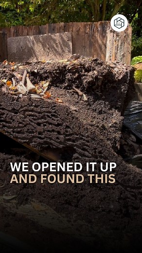 What happens when planters are built right into your deck without considering waterproofing? 🌧️🌿 Moisture gets trapped, and over time… rot takes over. This built-in bench looked solid—until we uncovered the soaked, decomposing mess beneath. 😬 If your deck has planters or benches like this, it might be hiding damage too. Proper drainage and material choices are key to longevity! 🔨 Ready for a safer, longer-lasting outdoor space? Let’s talk. #NorthVancouver #WestVancouver #BCContractors #DeckD