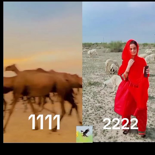 #video #😭 #pozzay🥹 #😭😭 #deraghazikhan #vira #viral #saraiki__status #viralv #viralvideo #