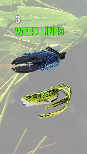 Identify the spots where bass feed on EVERY lake. Save this as your one-minute guide to bass fishing. #bassfishing #bassfishingtips #fishingtips #lunkerville #bassfishingbasics | Lunkerville