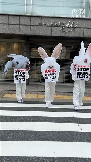 動物実験をめぐり、味の素の株主総会にPETAの“ウサギ”が集結
