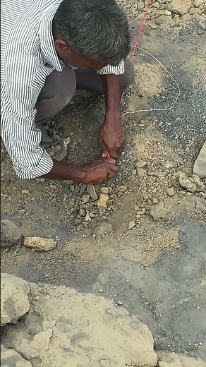 Detonator merging ,cord detonator merging with electric detonator for proper blasting timing #2024