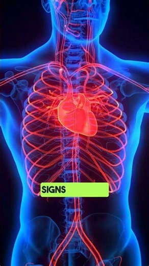 CT Calcium Score Scan