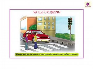 Traffic Signs and Safety Rules | Now You Know Book C | Periwinkle