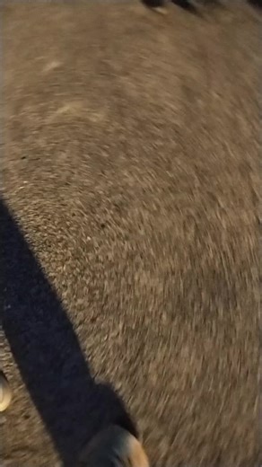 💞🎀ECE🎀💞 (@ece_2300) adlı kullanıcının orijinal ses - 💞🎀ECE🎀💞 ile oluşturduğu videoları