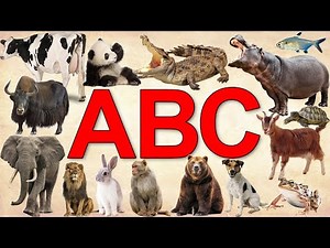 Learning ABC with Animals Names | Alphabet Animals - Learn ABCs with Alphabet | Animals name Sounds