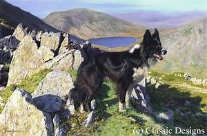 Steven Townsend - Alchetron, The Free Social Encyclopedia