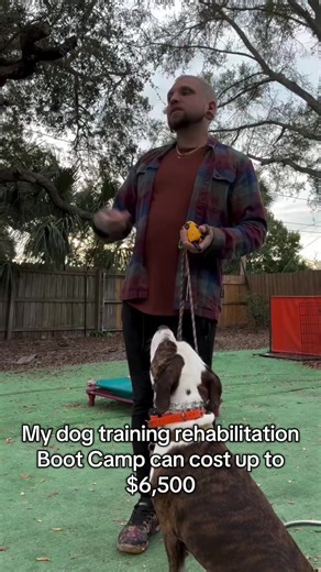 No, you didn’t read that wrong. I’m SO CLOSE to offering my behavioral rehabilitation programs for ONLY $50. If you’re exhausted, embarrassed, or scared of your own dog’s behavior—this is for you. Comment “LETSGO” and I’ll send you the link to be notified when it goes live. Inside this program, I’ll teach you how to work through: • human aggression • dog aggression • barking & lunging on leash • separation anxiety • destruction in the home • jumping on guests • reacting when people come over • r