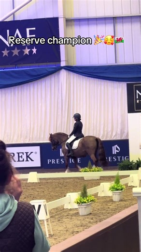 Naf national championship prelim silver petplan reserve champion for me and Rocky 🥰🏴󠁧󠁢󠁷󠁬󠁳󠁿 so proud of this pony #fyp