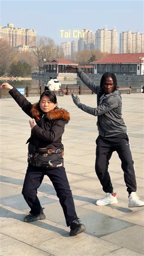 Master Tai Chi Techniques in China