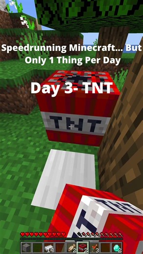 day 3- tnt
