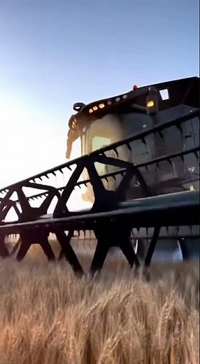 The Rise of the Robo-Farmer 🚜🤖 #RobotFarming #GoldenFields