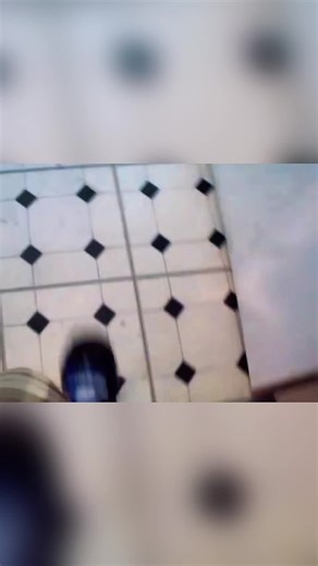 Talking Kitty Cat: Hilarious Moments Captured