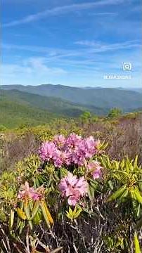 Hiking in Shining Rock Wilderness - Art Loeb Trail