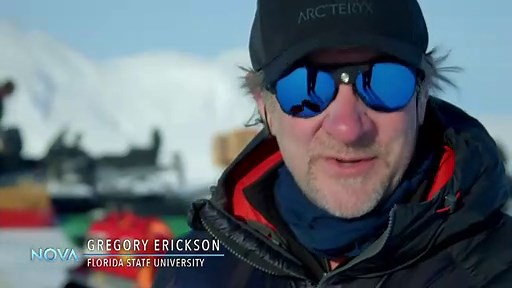 NOVA - Alaskan Dinosaurs (2022)