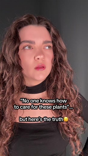 These plants are considered “difficult” not because they’re fussy, but because their signals are often misinterpreted. Most houseplants don’t fail because of “bad care” — they fail because we react to symptoms, not the cause. Leaf drop, curling, yellowing, slow growth — these are signals, not mistakes. Learning how to read them is what turns confusion into confidence 🌱 And once you understand what your plant is asking for, care becomes simple. If you want to understand your plants — not guess, 