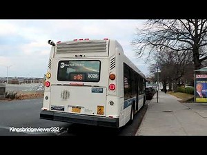 MTA New York City Bus: 2011 Nova Bus LFS 8025 on the Q46 Bus to Glen Oaks.