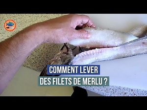 Fileter un Merlu et retirer la peau