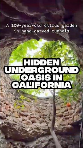 Discover California’s Hidden Gem: Forestiere Underground Garden in Fresno | Unique Underground Oasis