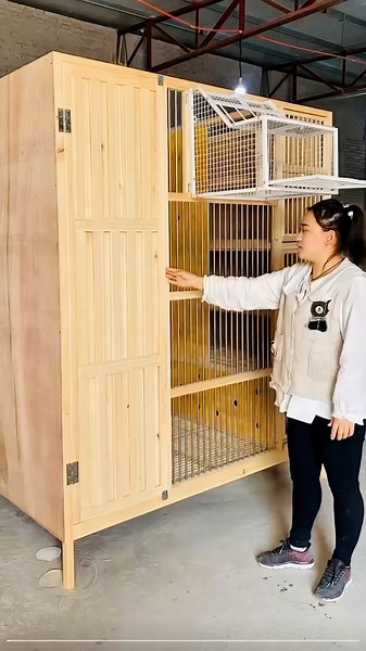 Small size wooden racing pigeon loft #reelsvideoシ #fblifestyle #racingpigeons | Amazing Loft