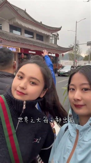 Discover the Heartwarming Journey of Ponies in Chengdu