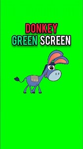 Donkey green screen‼️#greenscreen #donkey #chromakey #animation #dailygreenscreen