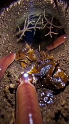 Tiny Earthworm in Macro World 🪱 | Micro Camera Short #viral #tranding #microcamera