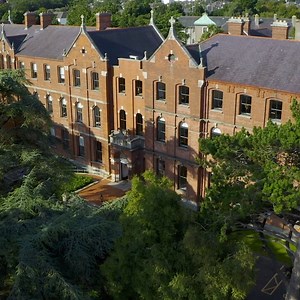 UCD Michael Smurfit Graduate Business School on Reels