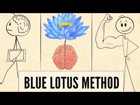 How to Force Your Brain to Take Action (The Lotus Method)