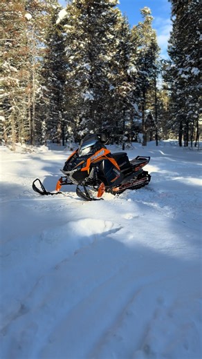 New Boost Features for Lynx 155