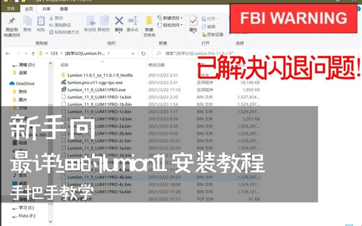 lumion11pro小白式手把手教学安装视频，已解决安装11.0.1.9闪退问题。