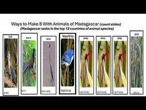 Fun With Numbers by Adding Ways to Make 8 With Animals of Madagascar #1