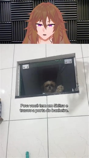 NÃO PODE MAIS TER PRIVACIDADE! #memes #vtuber