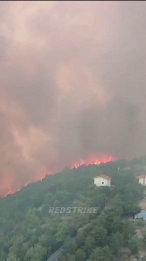 Fire in Kras #kras #požar #požarkras #fyp#fyp#fire#firefighter