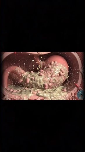 how to work digestion system?? 😯😯🤔