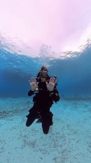 Hello from beneath the waves! 👋🏾 For #WorldHelloDay, we’re saying hi the Buddy Dive way… underwater! 💙 Now it’s your turn: How do you greet buddy’s during a dive? Drop your “underwater hello” in the comments ✌🏼👋🏾🤌🏼👌🏿🤘🏻 #BuddyDiveResort #Bonaire #BonaireDiving #ScubaLife #DiveBonaire #OceanLovers #UnderwaterVibes #WorldHelloDay | Buddy Dive Resort