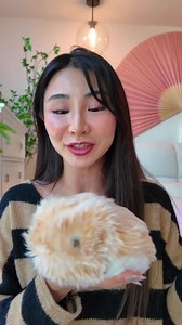 Meet Moflin: The AI Pet That Feels Like a Real Companion