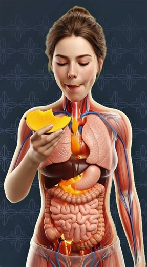 What Happens Inside Your Body When You Eat Mango? | 3D Medical Animation