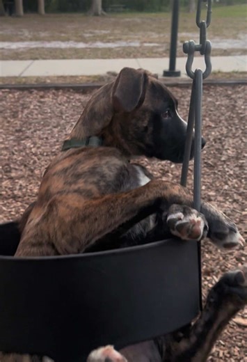 Meet My Boes: One of the Boys!