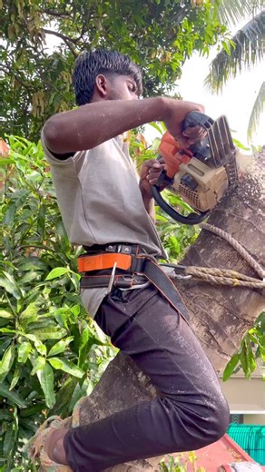 9.6K views · 680 reactions | 8610339350 top tree cutter | Tree Cutter Suyambu | Facebook
