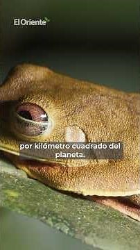 #Ecuador: the most biodiverse country on the planet 🌎