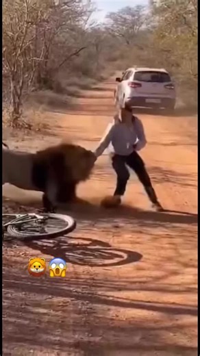 #ai #animal #aivideo