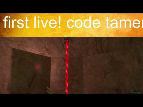 first livestream code tamer