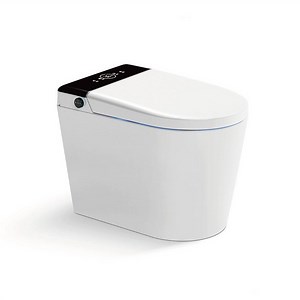 [Hot Item] Bathroom Furniture Wholesale Luxury Auto Flip Ceramic Smart Water Closet Toilet