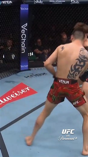 Lone'er Kavanagh is throwing COMBO AFTER COMBO right now 🤩 [ #UFCMexico | LIVE NOW on Paramount ] | UFC