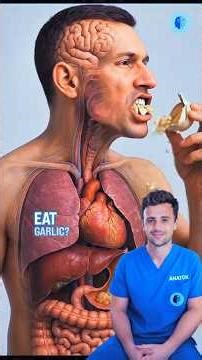 What Happens Inside Your Body After Eating Garlic? #Garlic#GarlicBenefits#HealthScience#HumanBody#Do