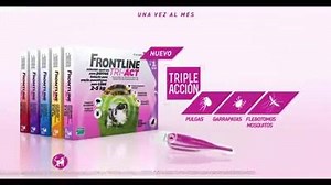 Con el nuevo Frontline Tri-Act podrás disfrutar al máximo de cada instante. ¡¡Que nada os pare!! No tengas miedo ni a flebotomos ni a mosquitos y olvídate de los parásitos. El nuevo Frontline Tri-Act, con triple acción, protege a tu perro de flebotomos, mosquitos, pulgas y garrapatas. Mima a tu mascota, protégela con Frontline. | Cuidamos su huella