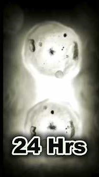 How healthy cell becomes Cancer Cell? #cellbiology #cancer #cellcycle #oncology