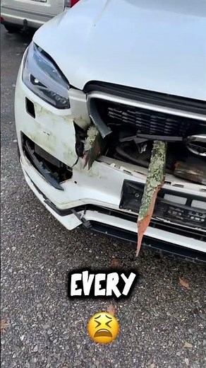 Volvo XC90: The Car Where No One Dies?